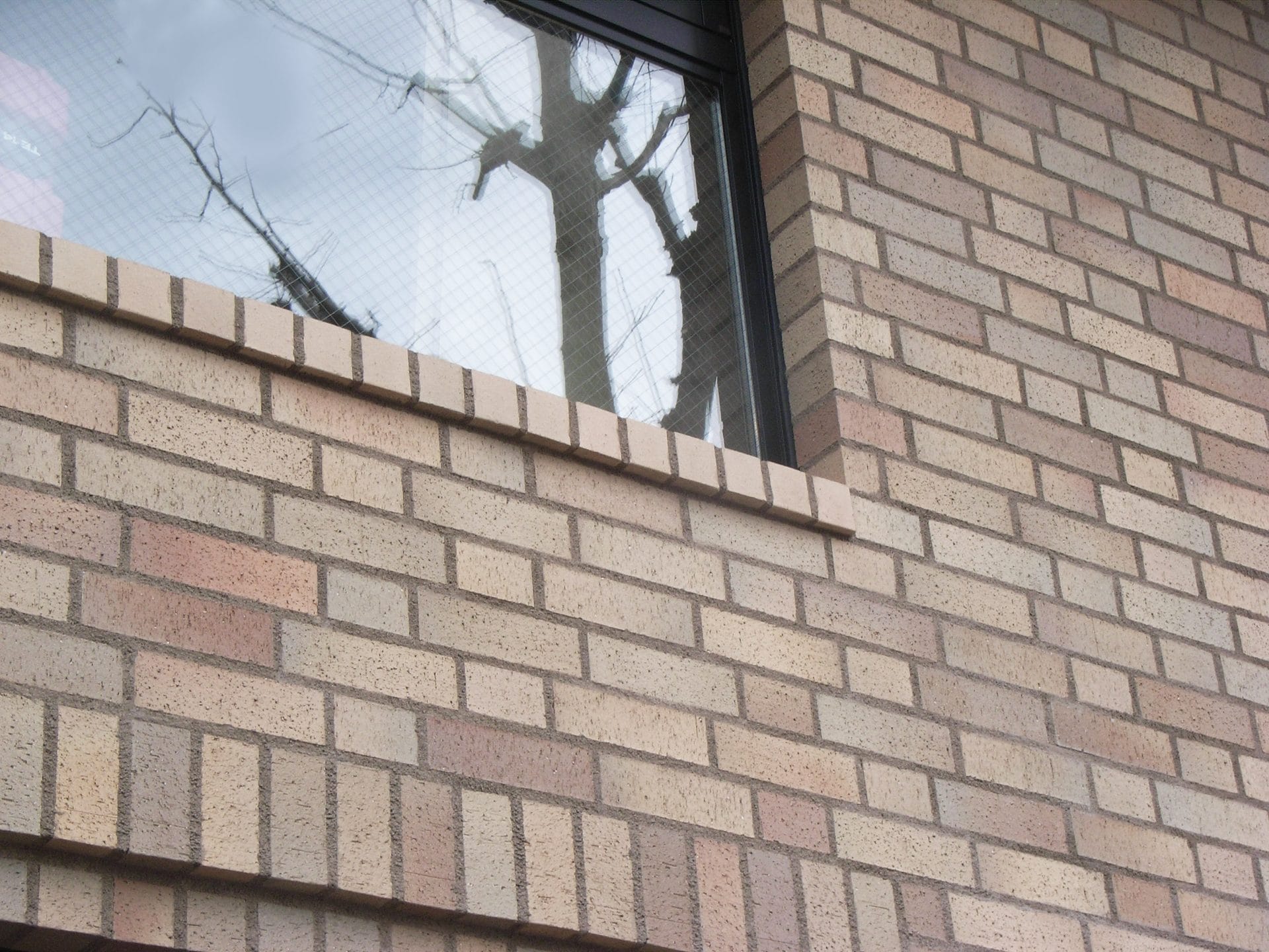 田園調布／粗面還元二丁掛特注色