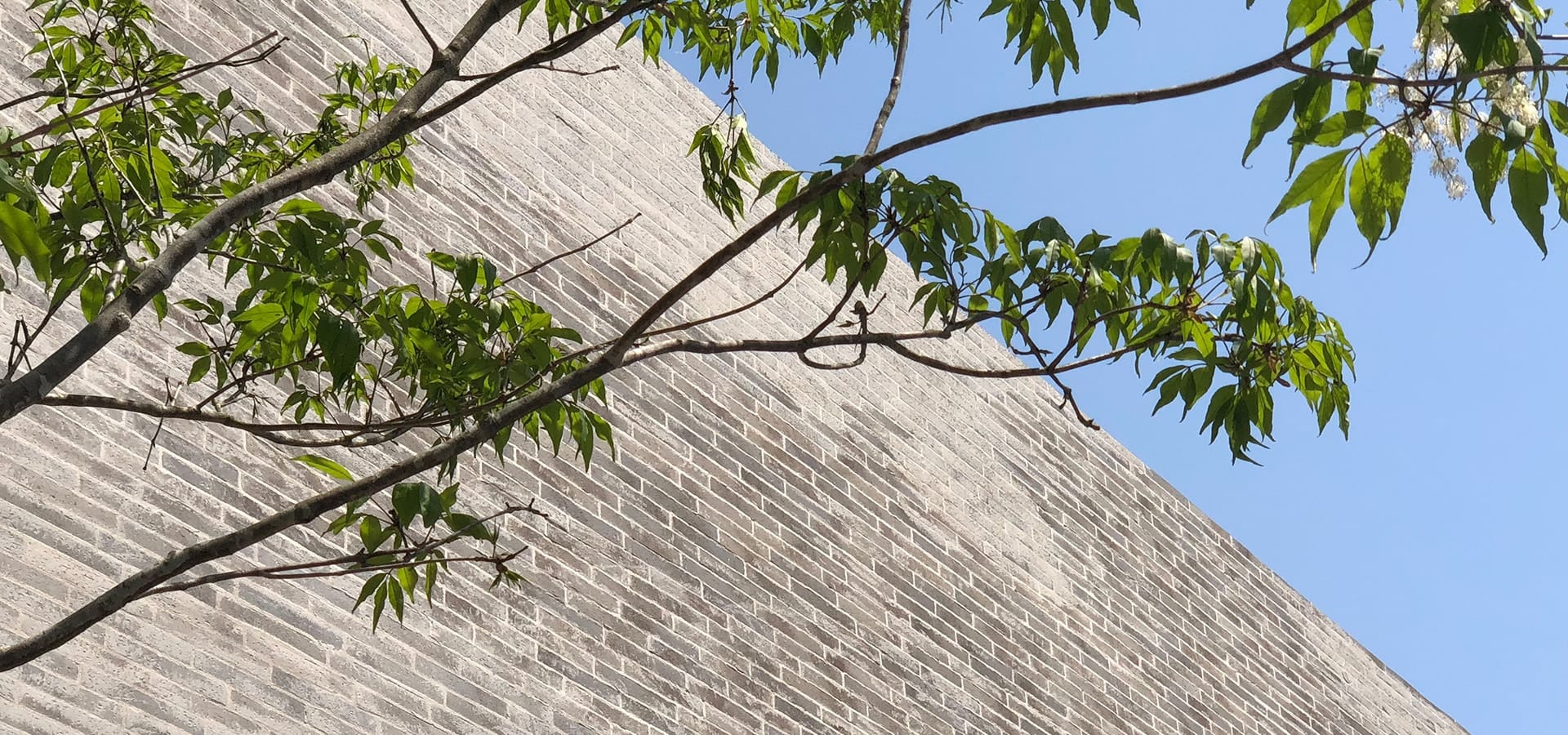 レンガタイル竣工イメージ